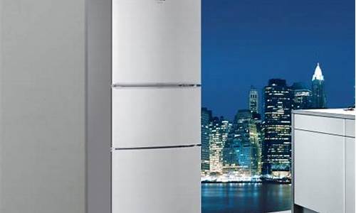 西门子冰箱质量问题_西门子冰箱质量问题投