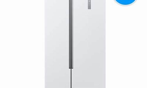 西门子电冰箱 家用_西门子电冰箱 家用哪