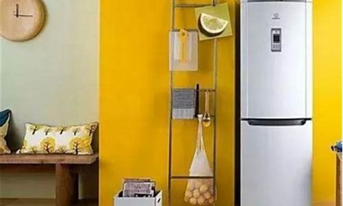 节能电冰箱哪个牌子好_节能电冰箱哪个牌子