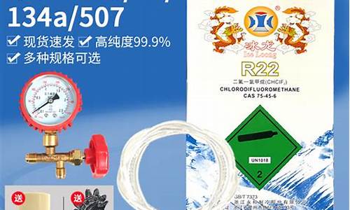 冰箱加氟利昂设备工具_冰箱加氟利昂设备工